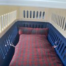 피스켄넬 이미지