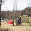 포천시와 함께 하는 캠핑아이비 페스티벌 (10주년 기념 제22회 정캠) 비둘기낭캠핑장 후기