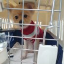 벨라켄넬 이미지