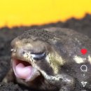 (주)하하푸드 이미지