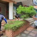 포항이동유치원 이미지