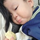 런던 근교 당일치기 완벽 가이드 | 스톤헨지 · 코츠월드 · 옥스퍼드 투어 후기