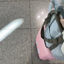 5박 6일 파리여행 일정, 꿀팁, 경비 총정리