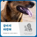 자양동물병원 이미지