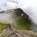 꿈이 자라는 나무 이미지