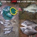 신안낚시마트