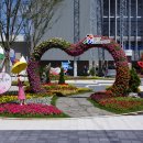 충주종합운동장 이미지