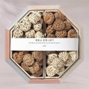 영진 GIFT