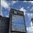 하백 | 🌿 남양주 북한강 뷰맛집, 카페 하백 솔직 후기