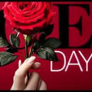 RoseDay 이미지