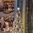 이재우 | 2024 국립발레단 호두까기인형 후기 - 이재우, 정은지 (예술의전당 오페라극장 3층B블럭 시야)