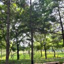 보라매공원 이미지