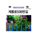 계룡로536번길 티스토리