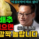 사과+양파쥬스'이렇게'먹으면 의사들도 깜짝 놀랍니다 이미지