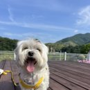 스테이 팔봉 이미지