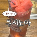 [방이동 오뎅바 추천] 쿠시노아 방이점 맛도리집 방문 후기