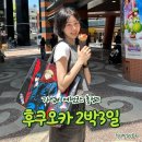 신신마트 | 후쿠오카 2박3일 가성비 여행 신신라멘 나미하노유 온천 다자이후 텐만구 후기