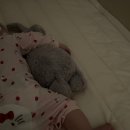 퍼피젤리 | 내돈내산 · 젤리캣 바쉬풀 블랙 앤 크림퍼피 강아지 인형 구매 후기 (한국공홈 젤리캣)