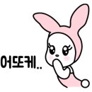 우디즈 이미지