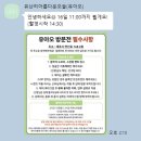 부경사 | W_07 제주스냅 ｜촬영당일 후기 / 아르브 · 마릴릿 · 유아오 / 나름 꿀팁 (스압주의)