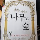 생각이 자라는 나무 이미지