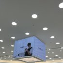 서광안경 | 예산안경점 어디가 좋아요? 다비치에서 예쁜 안경 골랐어요!