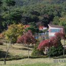 데미샘자연휴양림 이미지