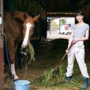 재연목장 이미지