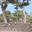 위미쉼팡 | 한달살이 두번째 숙소) 아담하지만 자연을 느낄 수 있는 따듯한 감성 숙소 ‘위미쉼팡’에서 열흘 보내기