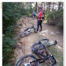 창녕공설운동장 이미지