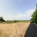 덕진-128 이미지