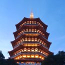중국어(야간) | [중국 항저우 여행]항주 야경 명소, 뇌봉탑(雷峰塔) 야간 방문 후기