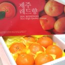 주한농장 이미지