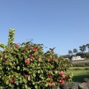 스테이퐁낭민박 이미지