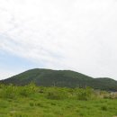 제주바농 | 제주 조천읍 교래리 오름, 바농오름 산책 후기