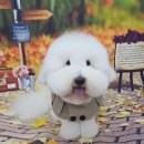 코튼빌리지 부산본점 이미지