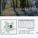 양광여행사