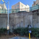 대덕초등학교 담장  이미지