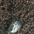 성채농장 이미지