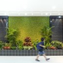 서울상현초등학교 이미지