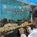 산동목장 | 구미 아이와 가볼만한 곳으로 추천하는 에코랜드