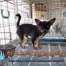 신곡지구대 이미지