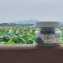 경북 의성 아름다운 연꽃 관광지 : 벼루못 벼락못 그리고 유래