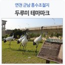 재인폭포와 두루미 Daum카페