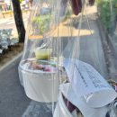 니즈샐러드동해점 | 니즈샐러드 리뉴얼 전 할인이벤트 다녀왔어요!
