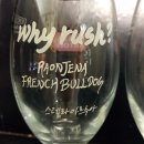 불독하우스 이미지