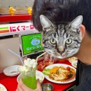 편의점사랑청주점 | 청주에서 만난 진짜 일본 편의점(고기마케트/청주 맛집)