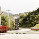 269 | 고창여행 숙소추천 운곡 유스호스텔 후기 아이와 1박 운곡람사르습지 근처