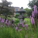 골든힐폼 이미지