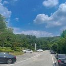 프렌즈스크린율동점